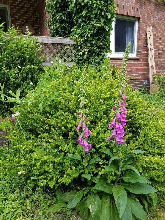 Ferienwohnung Im Naturgarten Schneverdingen Dış mekan fotoğraf